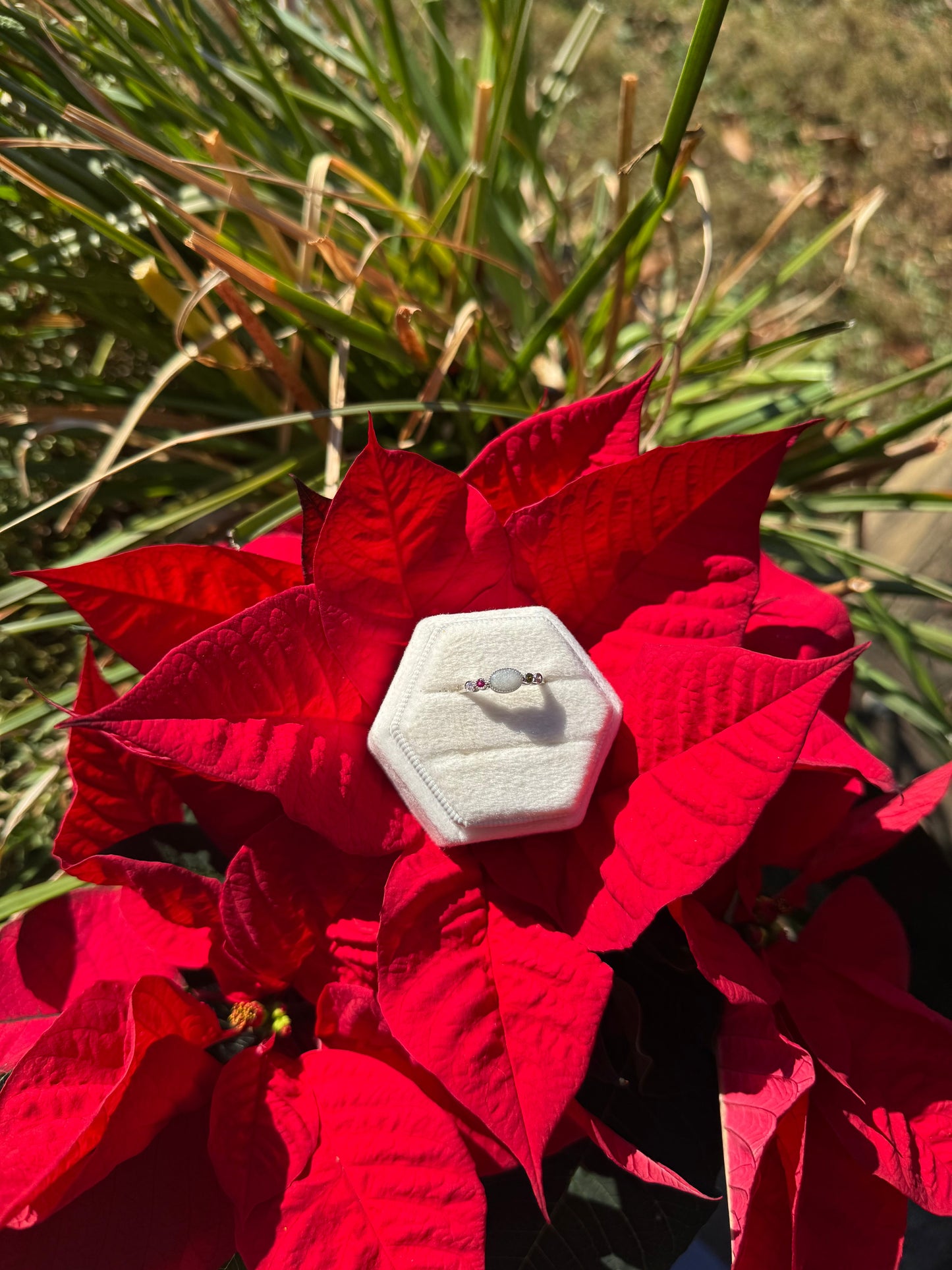 olive // ring •multiple color stones•