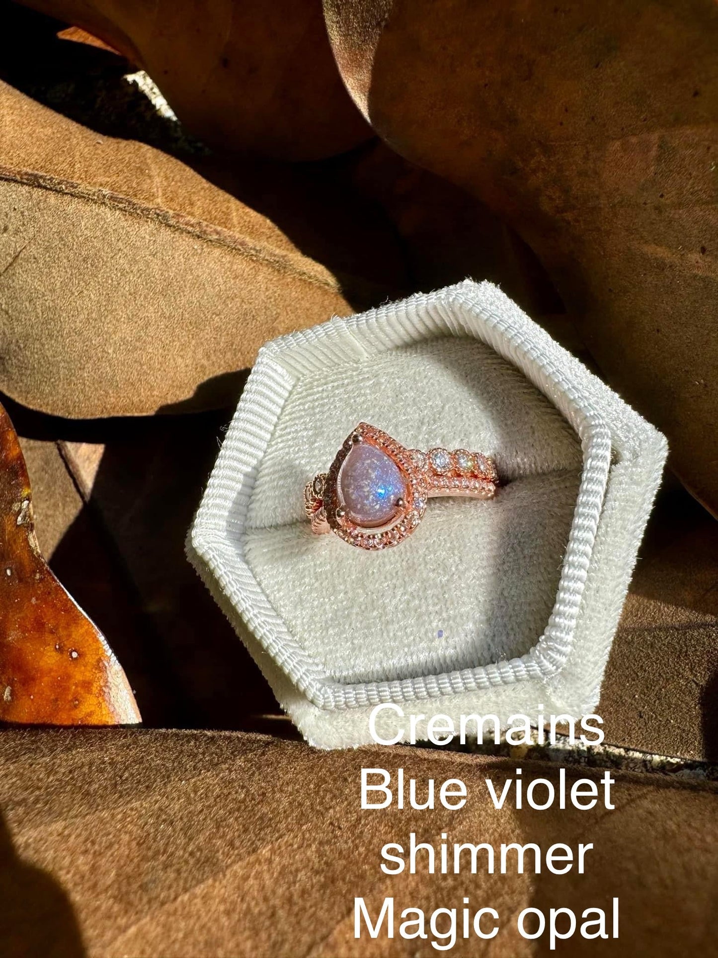 -FOR VIEWING ONLY- add in options